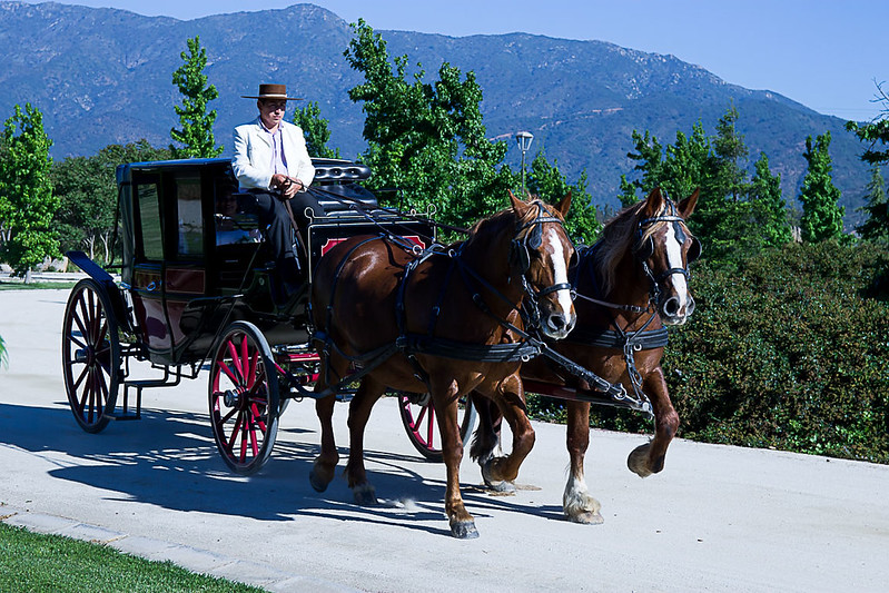 53142129338_8b2755b510_c